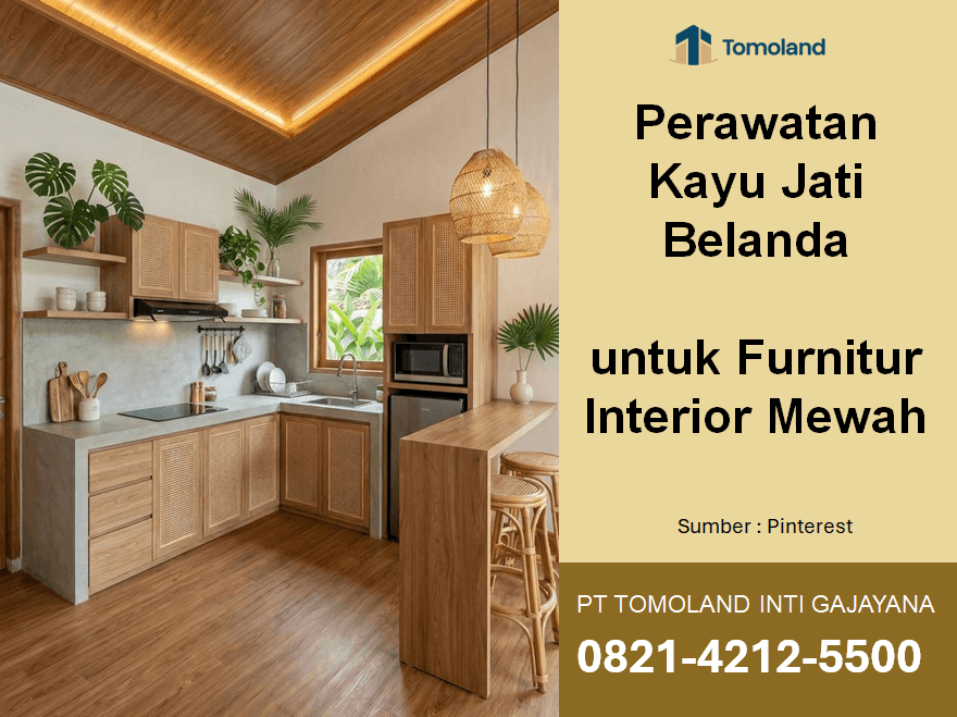 Perawatan Kayu Jati Belanda untuk Furnitur Interior Mewah